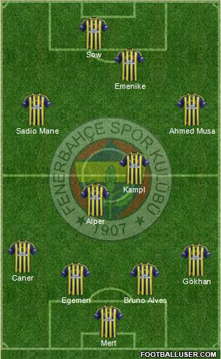 Fenerbahçe SK Formation 2014