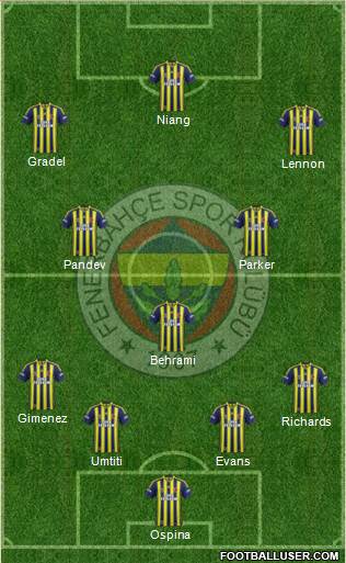Fenerbahçe SK Formation 2014