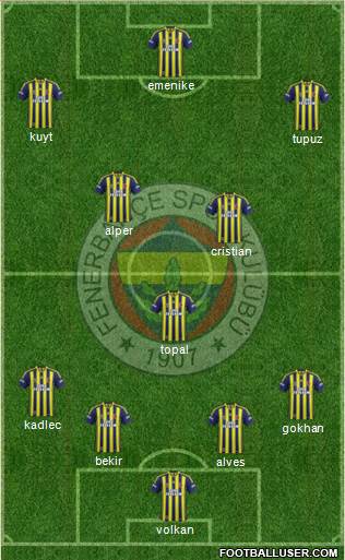 Fenerbahçe SK Formation 2014