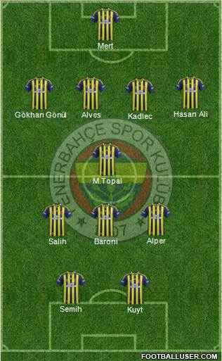 Fenerbahçe SK Formation 2014
