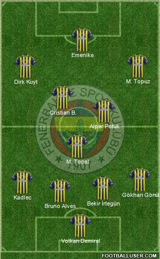 Fenerbahçe SK Formation 2014