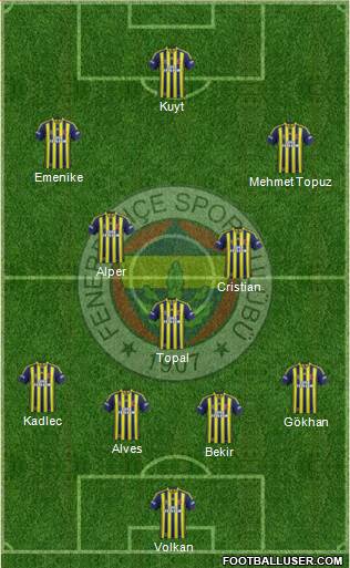 Fenerbahçe SK Formation 2014