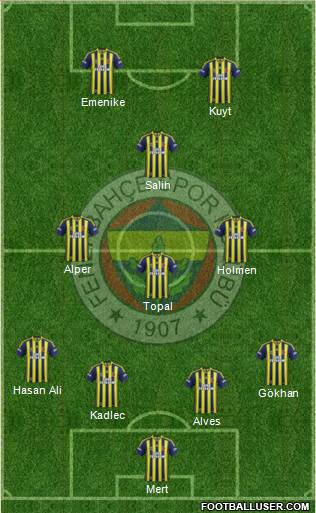 Fenerbahçe SK Formation 2014