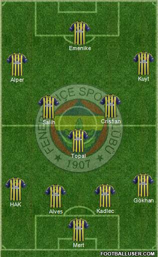 Fenerbahçe SK Formation 2014