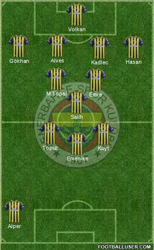 Fenerbahçe SK Formation 2014
