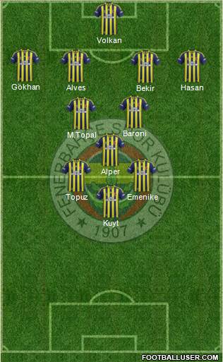 Fenerbahçe SK Formation 2014