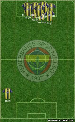 Fenerbahçe SK Formation 2014
