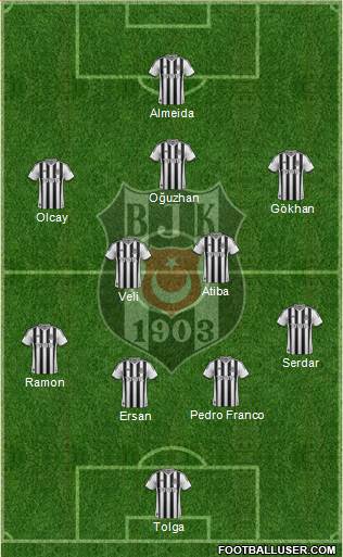 Besiktas JK Formation 2014