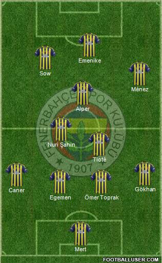 Fenerbahçe SK Formation 2014