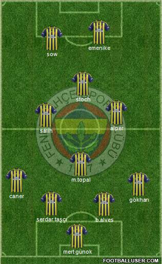 Fenerbahçe SK Formation 2014