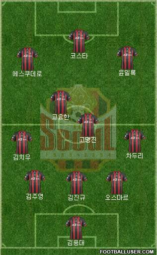 FC Seoul Formation 2014