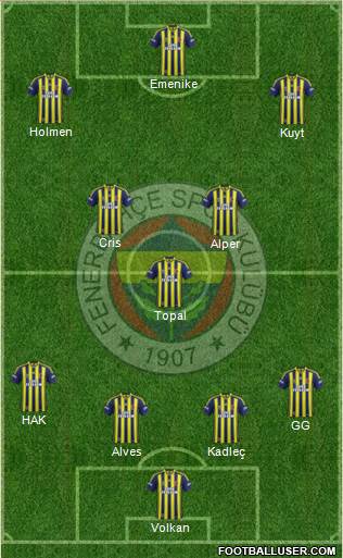 Fenerbahçe SK Formation 2014