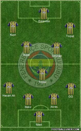 Fenerbahçe SK Formation 2014