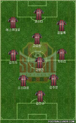 FC Seoul Formation 2014