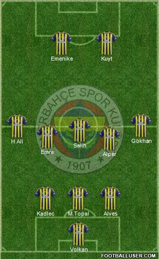 Fenerbahçe SK Formation 2014