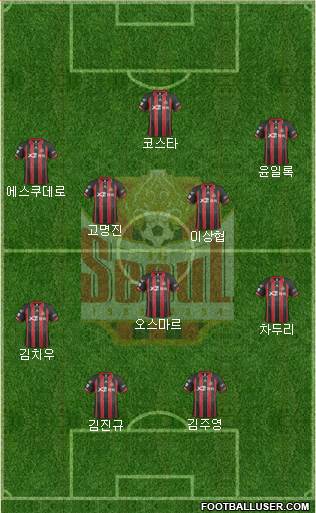 FC Seoul Formation 2014