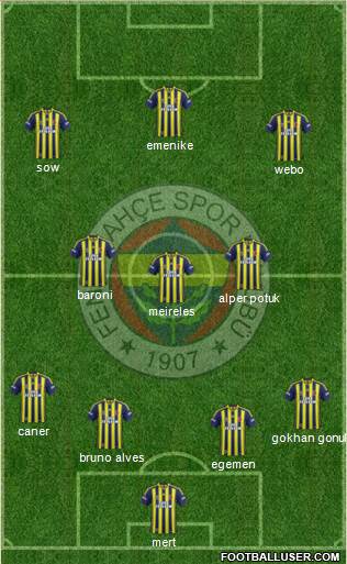 Fenerbahçe SK Formation 2014