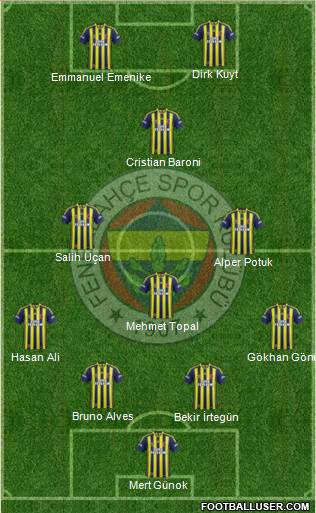 Fenerbahçe SK Formation 2014