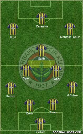 Fenerbahçe SK Formation 2014