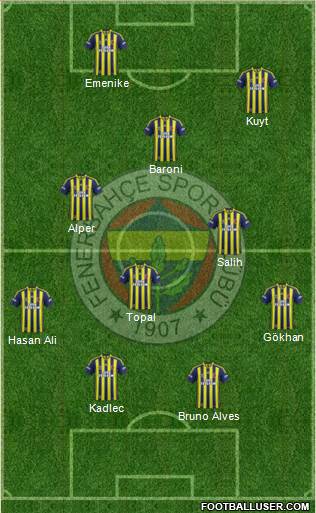 Fenerbahçe SK Formation 2014