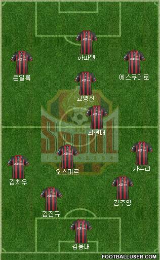 FC Seoul Formation 2014