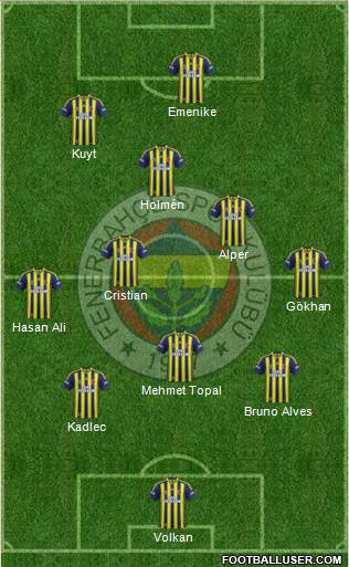 Fenerbahçe SK Formation 2014