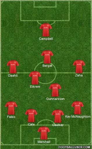Cardiff City Formation 2014
