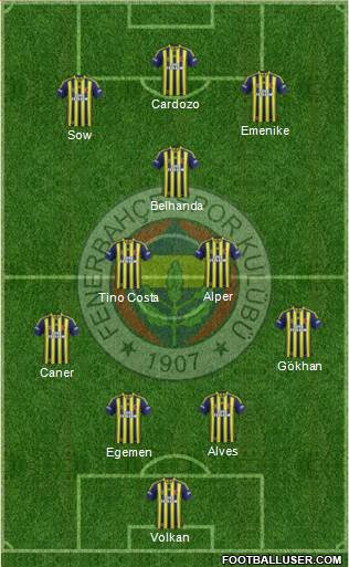 Fenerbahçe SK Formation 2014