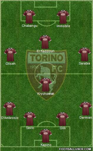 Torino Formation 2014