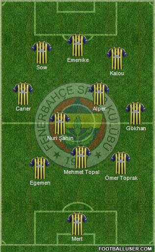 Fenerbahçe SK Formation 2014