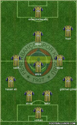 Fenerbahçe SK Formation 2014