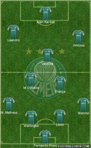 SE Palmeiras Formation 2014