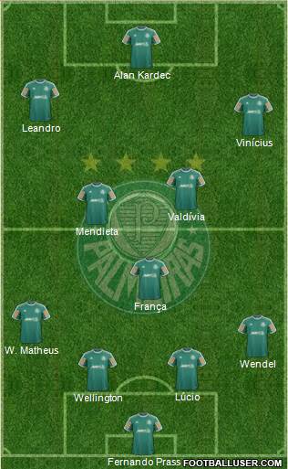 SE Palmeiras Formation 2014