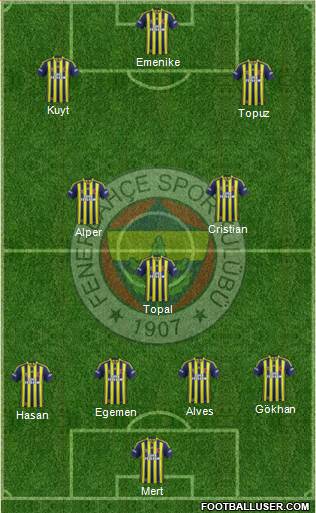 Fenerbahçe SK Formation 2014