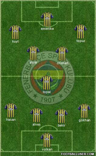 Fenerbahçe SK Formation 2014