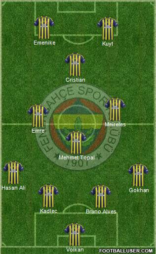 Fenerbahçe SK Formation 2014