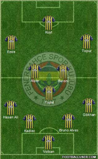 Fenerbahçe SK Formation 2014
