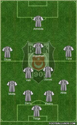 Besiktas JK Formation 2014