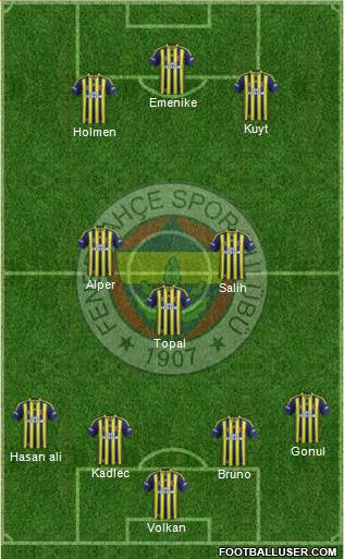 Fenerbahçe SK Formation 2014
