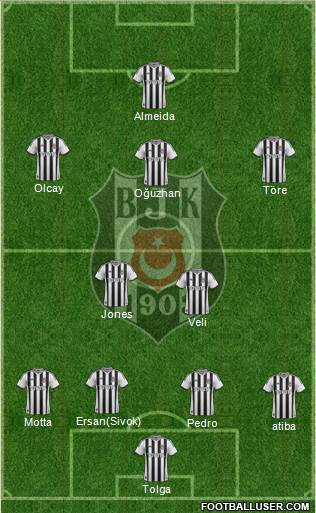 Besiktas JK Formation 2014