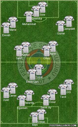 Fenerbahçe SK Formation 2014