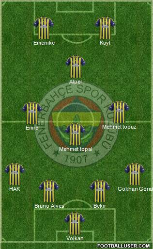 Fenerbahçe SK Formation 2014