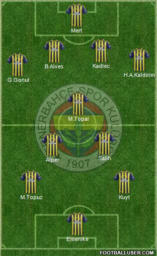 Fenerbahçe SK Formation 2014