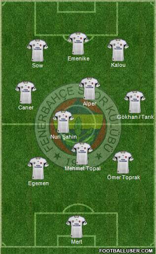 Fenerbahçe SK Formation 2014