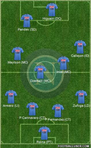 Napoli Formation 2014