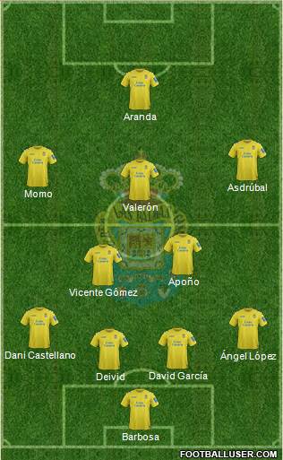 U.D. Las Palmas S.A.D. Formation 2014