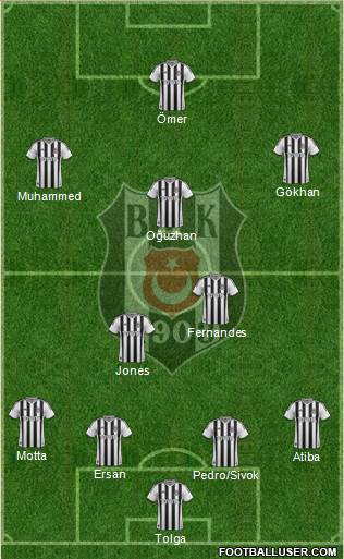 Besiktas JK Formation 2014
