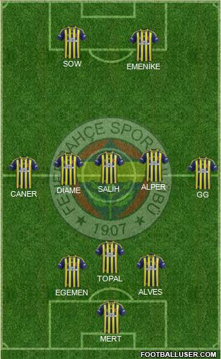Fenerbahçe SK Formation 2014