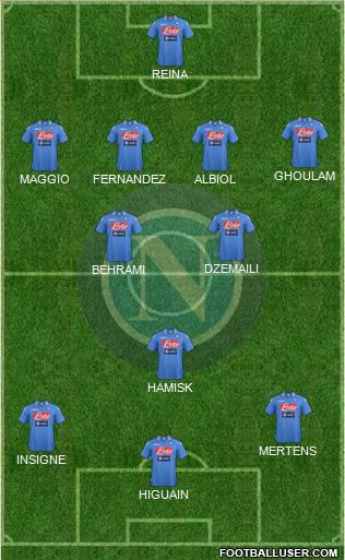 Napoli Formation 2014