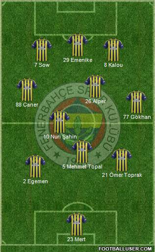 Fenerbahçe SK Formation 2014